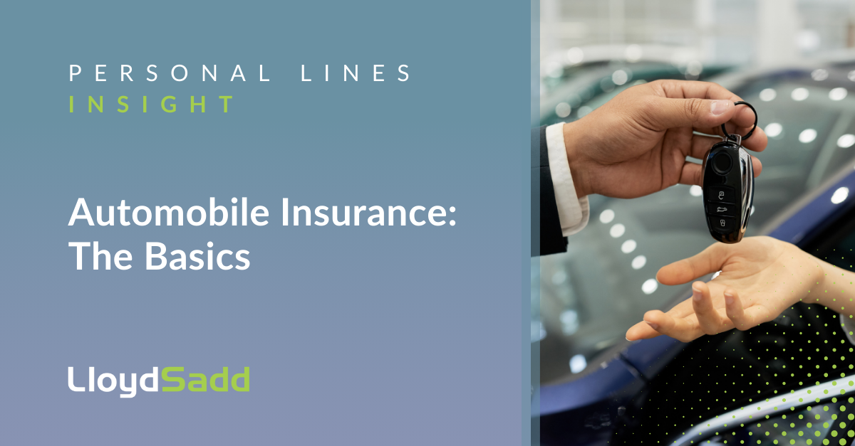 Automobile Insurance: The Basics | Navacord ( Formerly Lloyd Sadd)